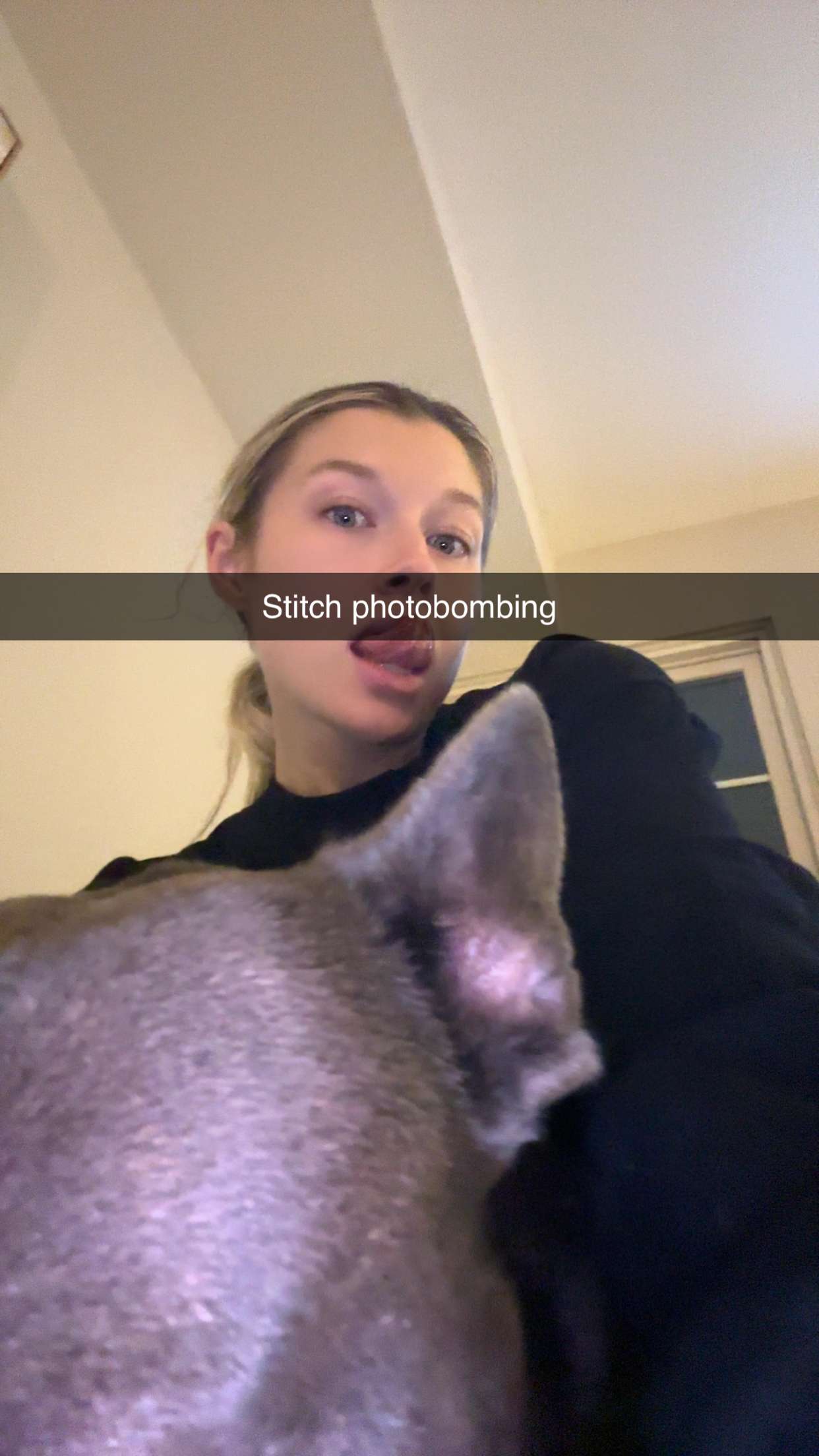 kylaayese snapchat image archive image