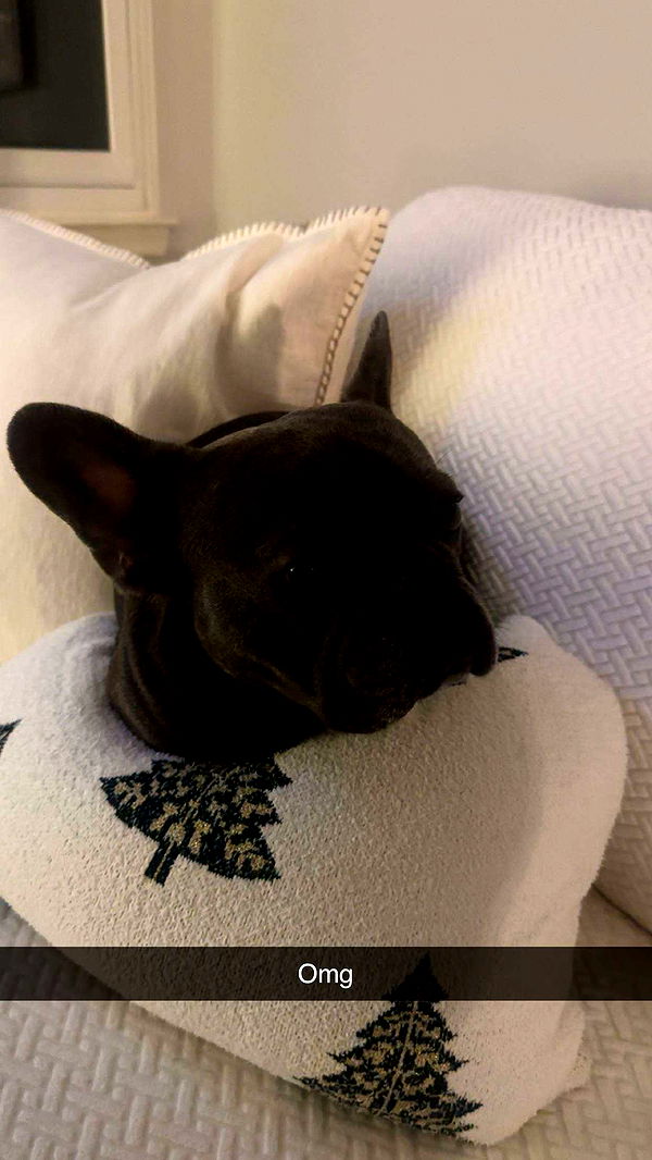 kylaayese image ~ Altpins