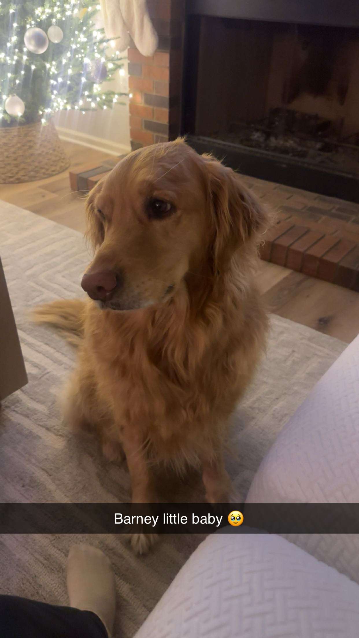 kylaayese snapchat image archive image