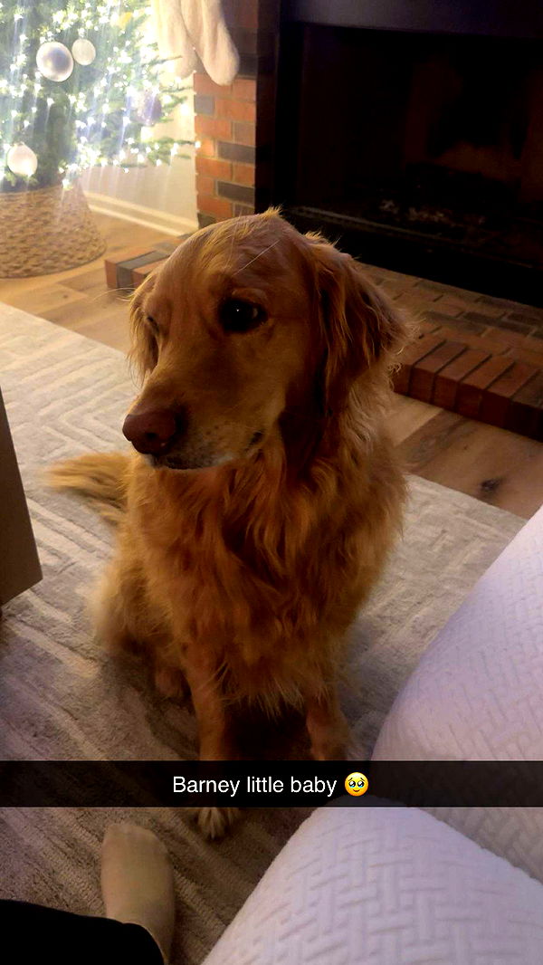 kylaayese image ~ Altpins