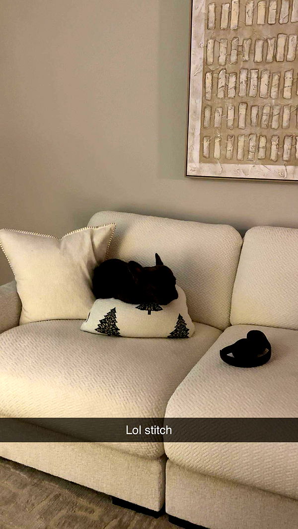 kylaayese image ~ Altpins