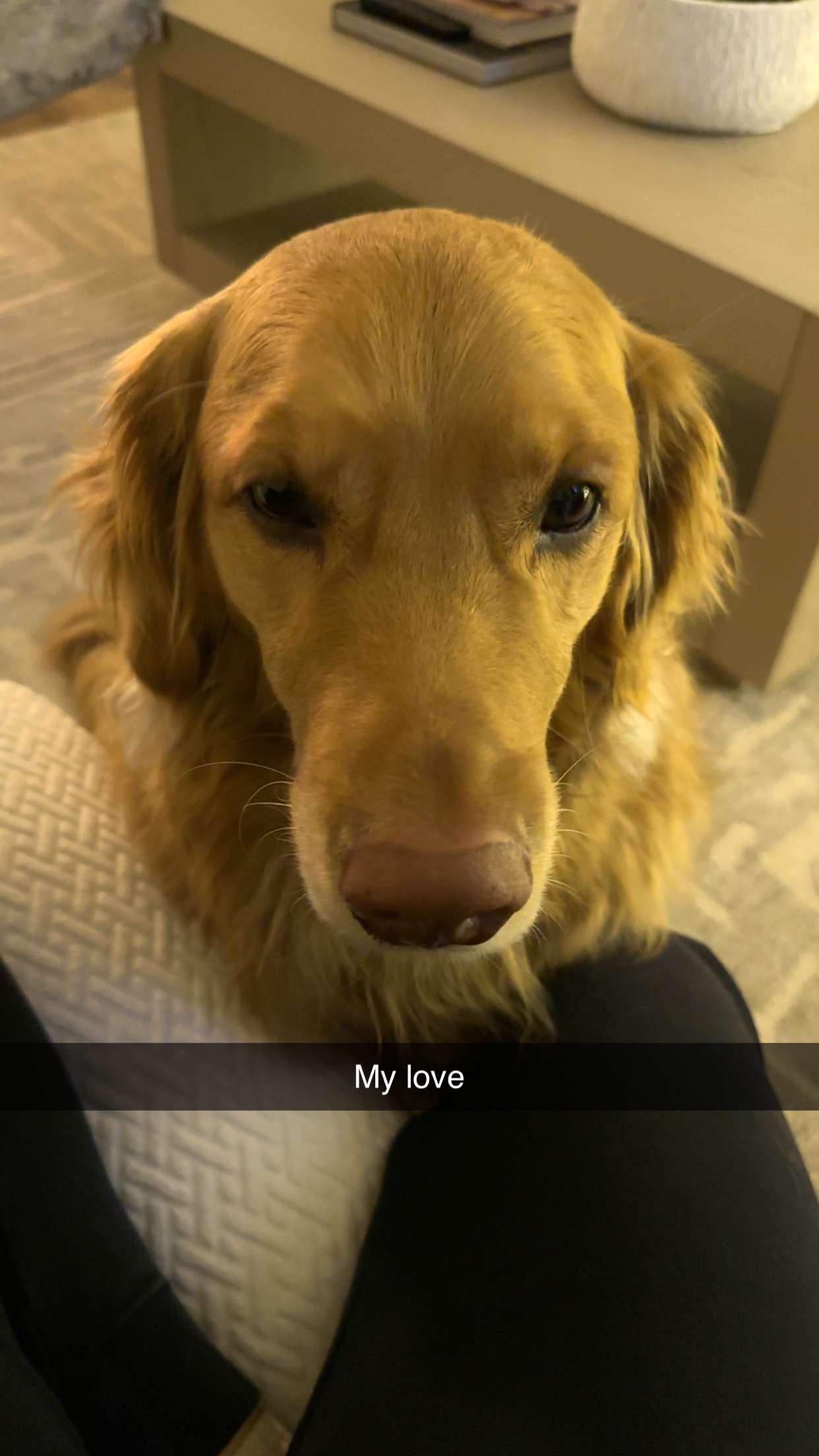 kylaayese snapchat image archive image