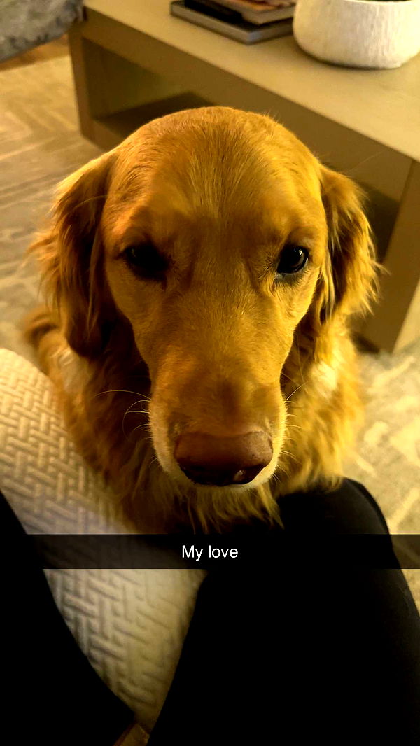 kylaayese image ~ Altpins