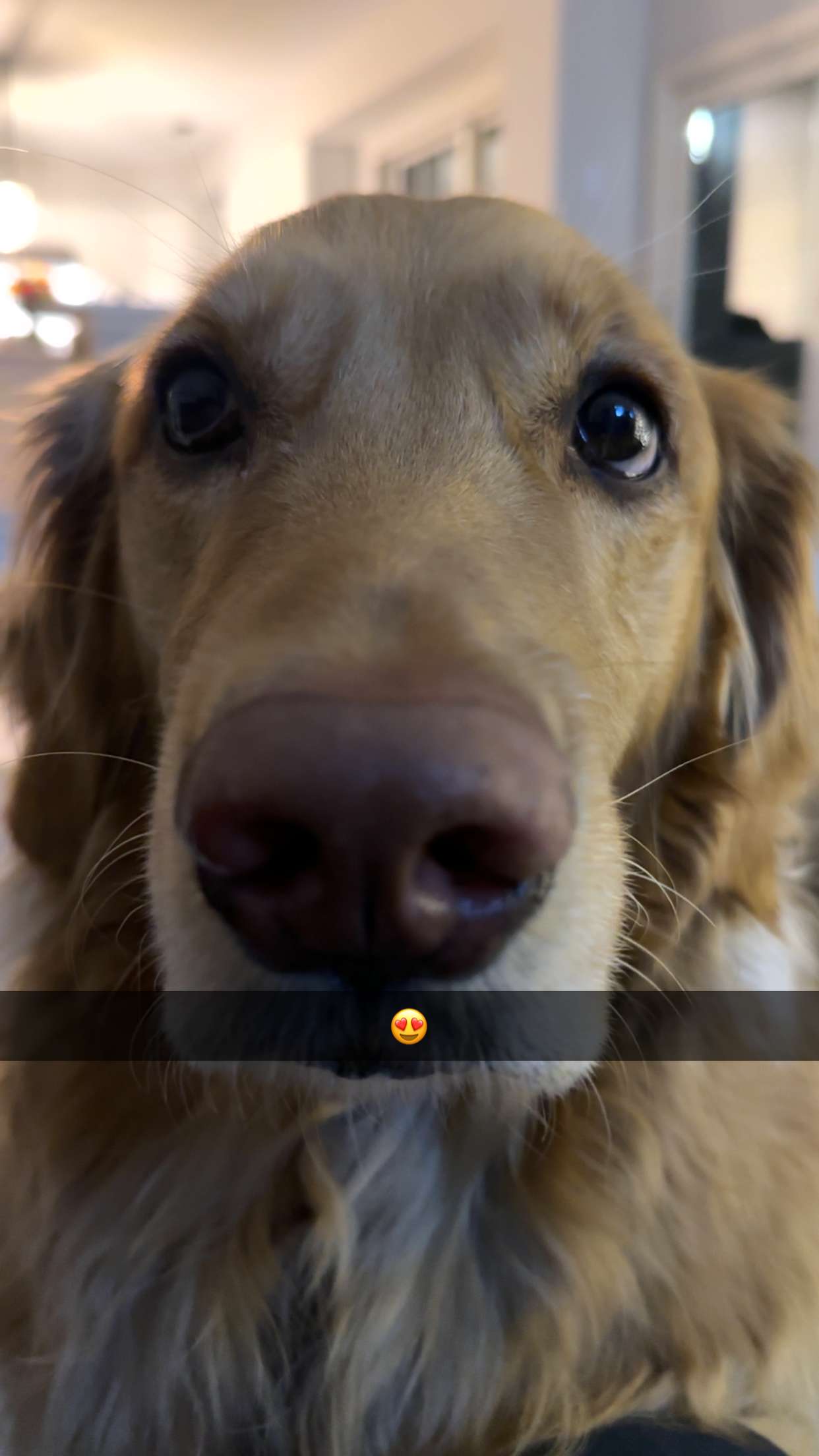 kylaayese snapchat image archive image