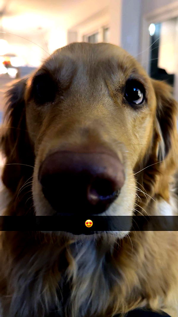 kylaayese image ~ Altpins