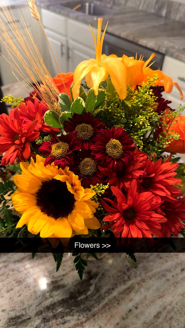 kylaayese image ~ Altpins