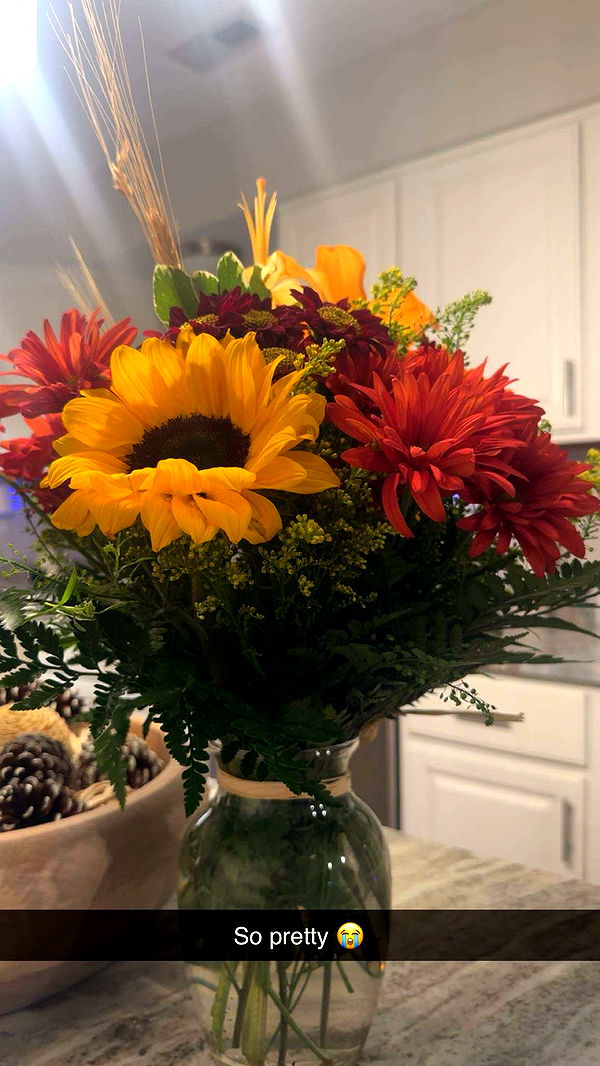 kylaayese image ~ Altpins