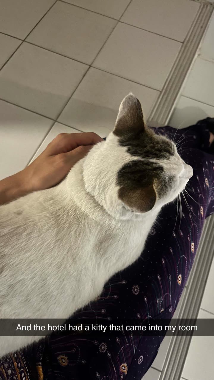 laurenj.fit snapchat image archive image