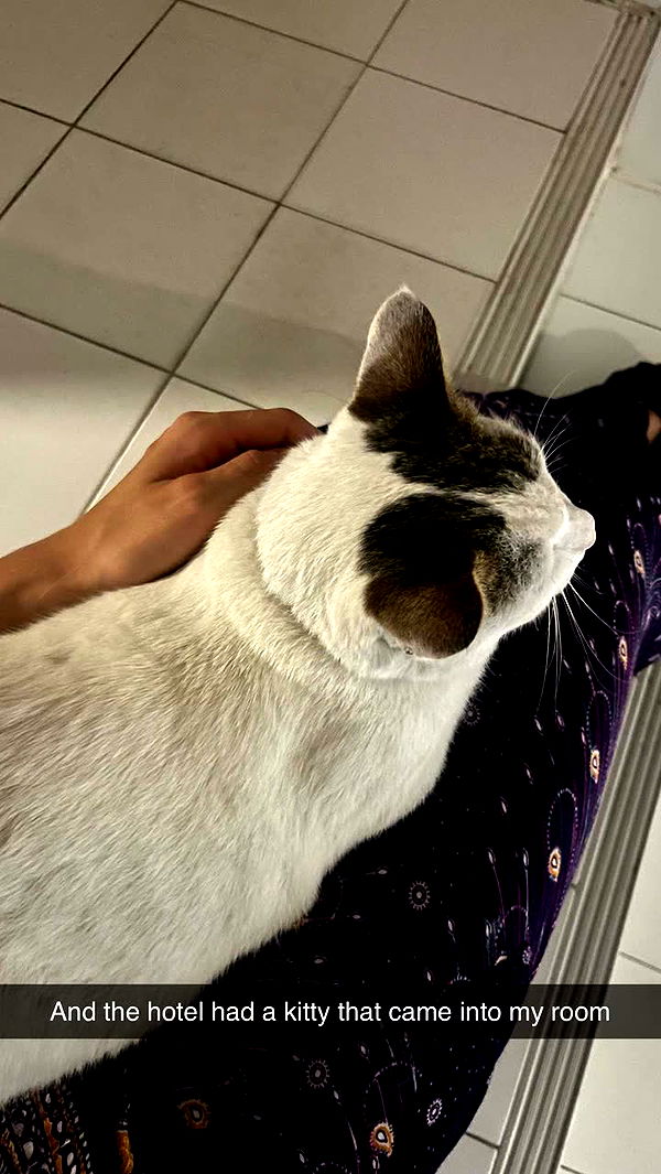 laurenj.fit image ~ Altpins