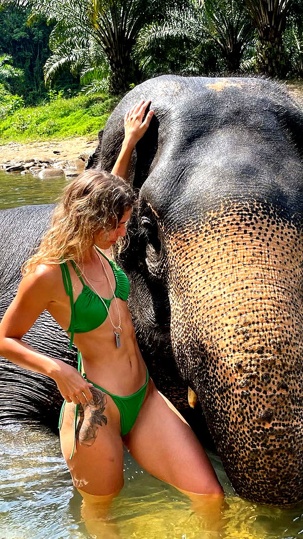 laurenj.fit image ~ Altpins