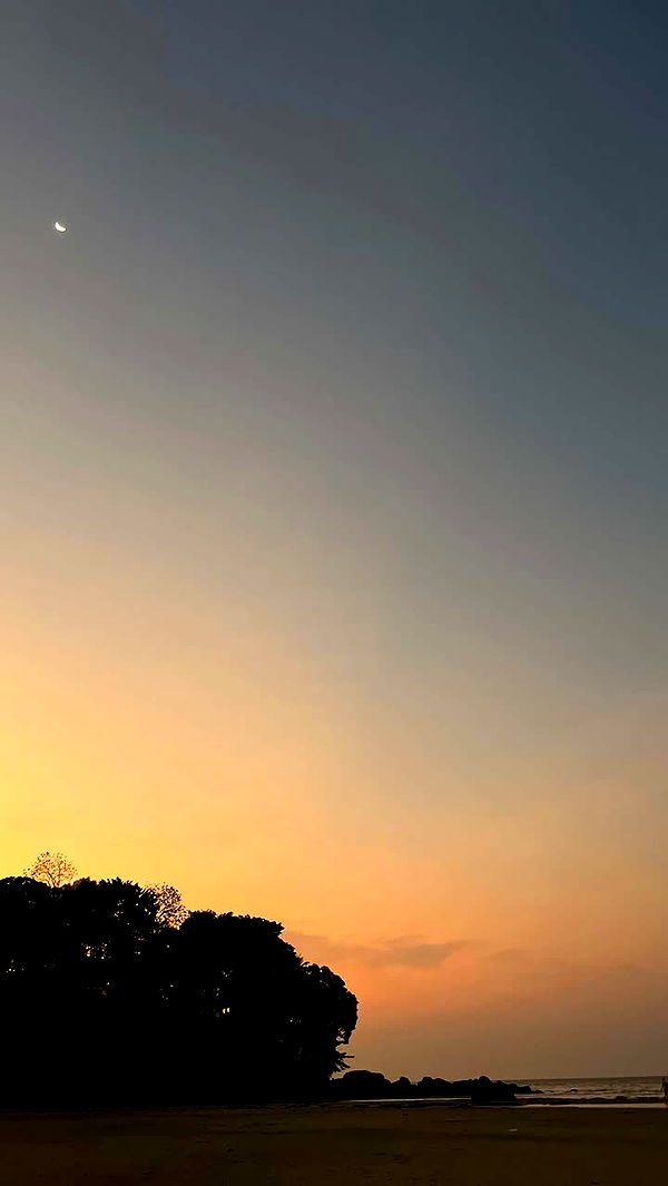 laurenj.fit image ~ Altpins