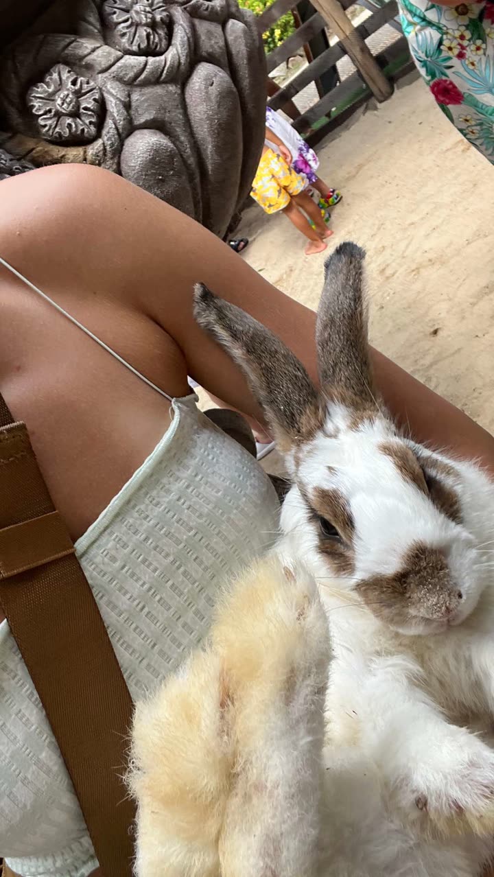 laurenj.fit snapchat image archive image