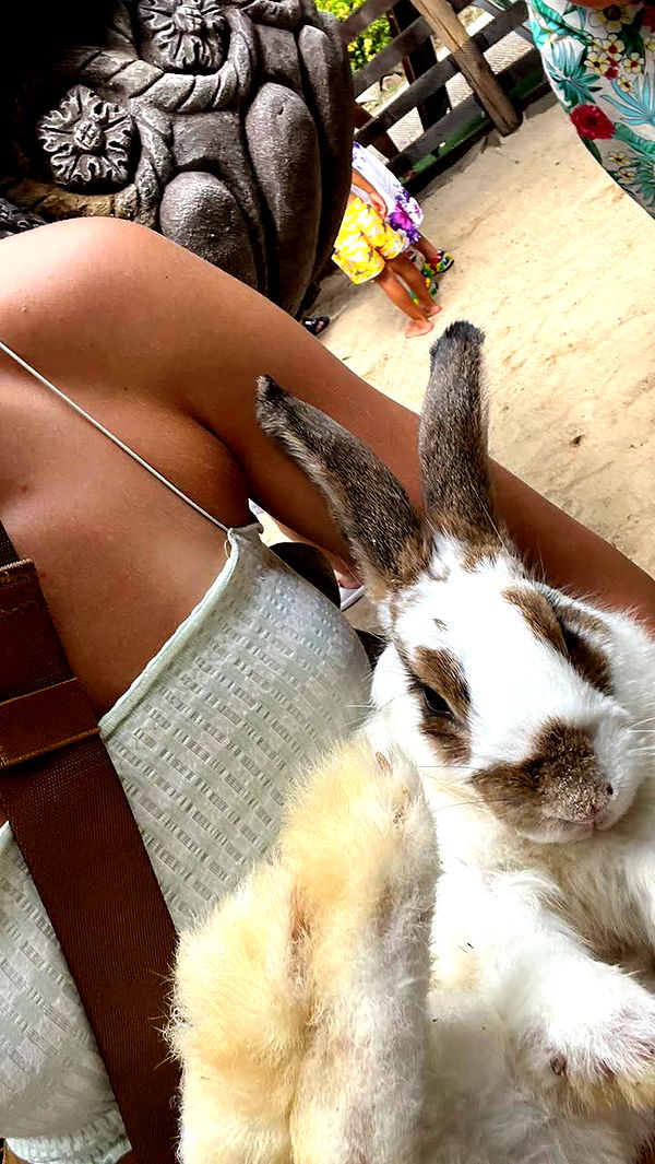 laurenj.fit image ~ Altpins