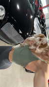 laurenj.fit Altpins Profile Picture