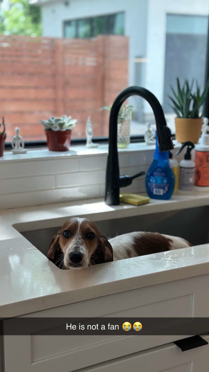 laurenj.fit snapchat image archive image