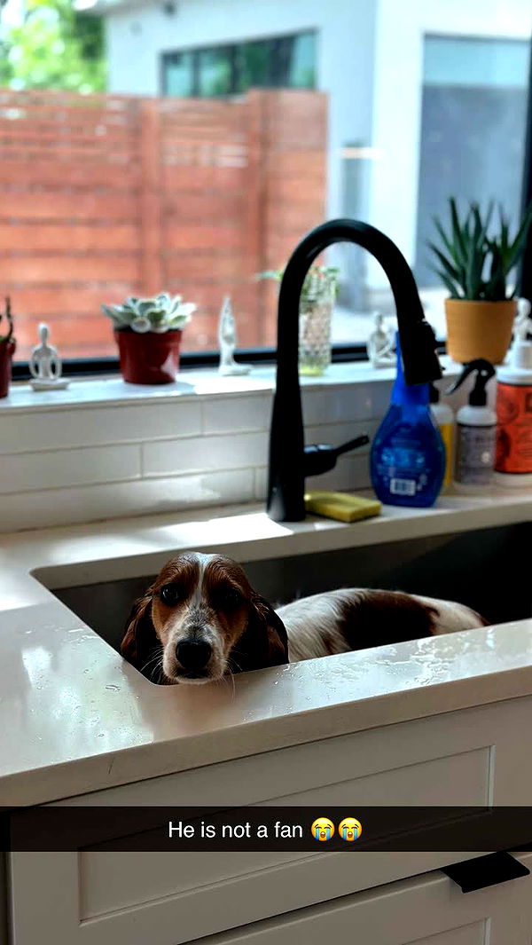 laurenj.fit image ~ Altpins