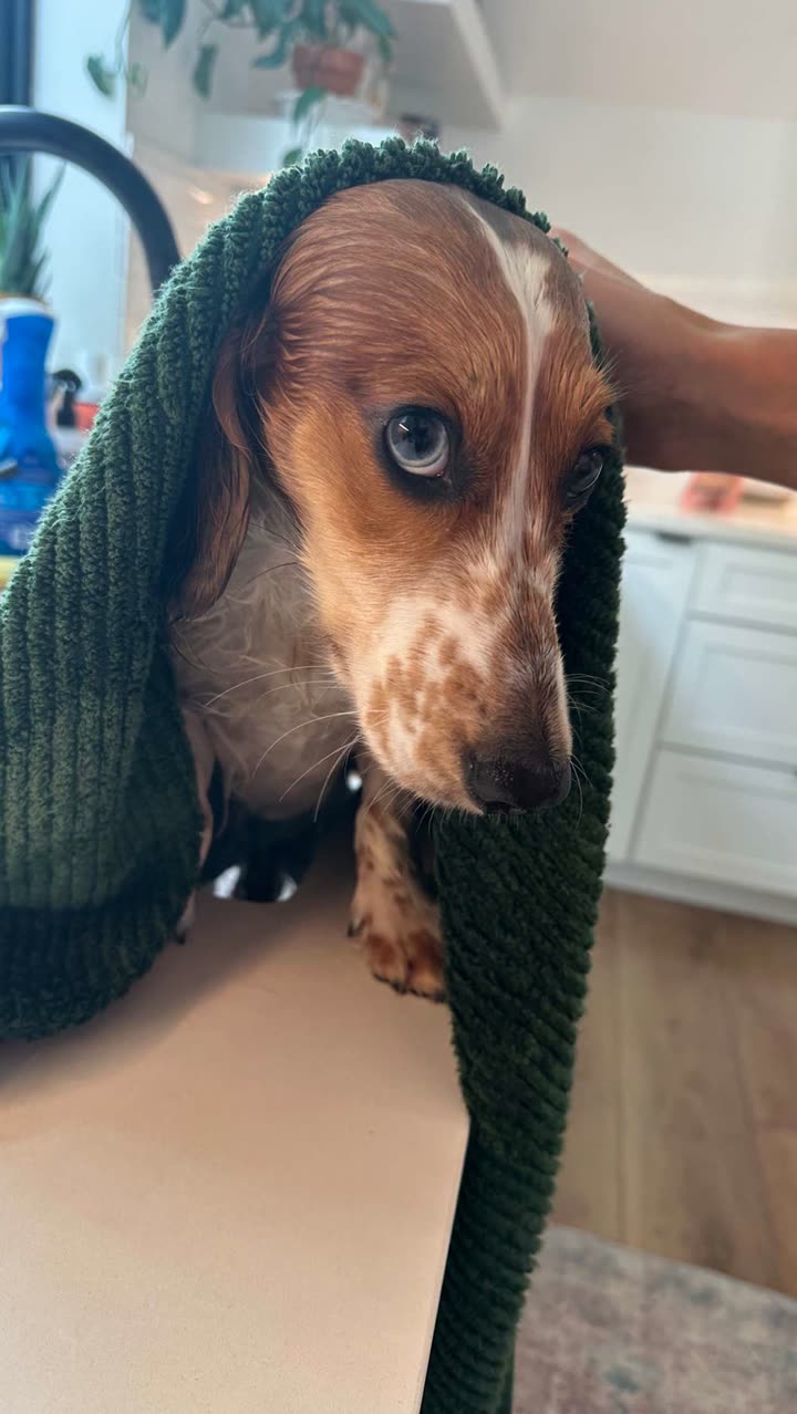 laurenj.fit snapchat image archive image