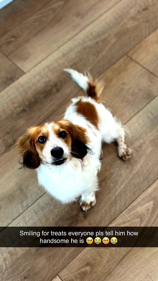 laurenj.fit image ~ Altpins