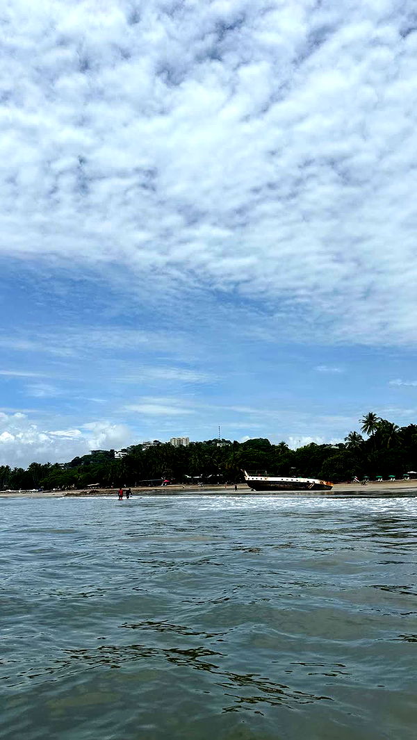 laurenj.fit image ~ Altpins