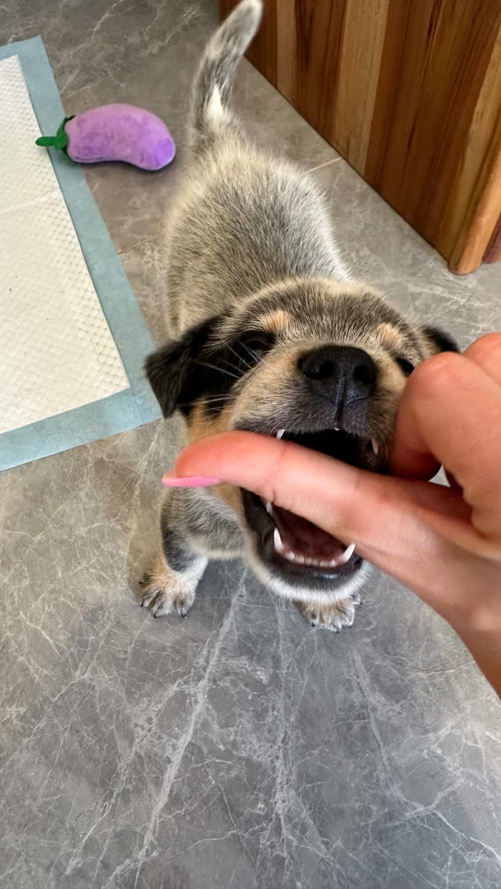 laurenj.fit snapchat image archive image