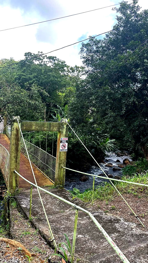 laurenj.fit image ~ Altpins