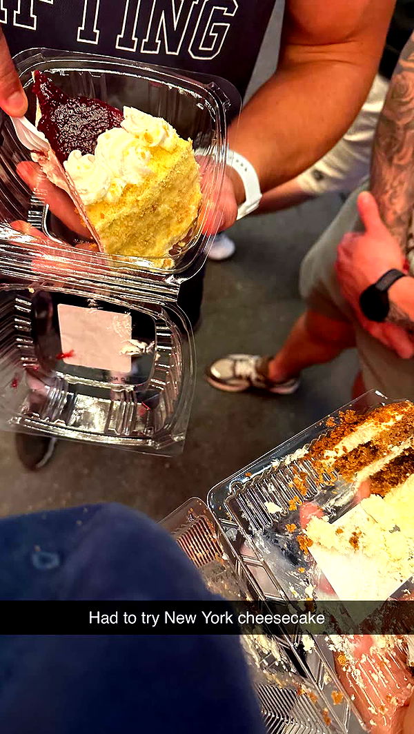 laurenj.fit image ~ Altpins