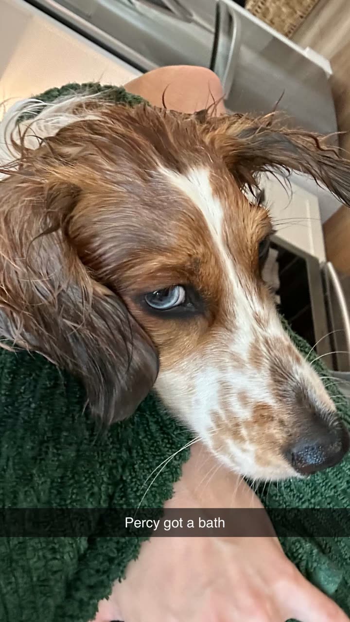 laurenj.fit snapchat image archive image