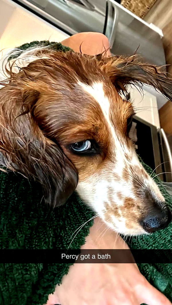 laurenj.fit image ~ Altpins