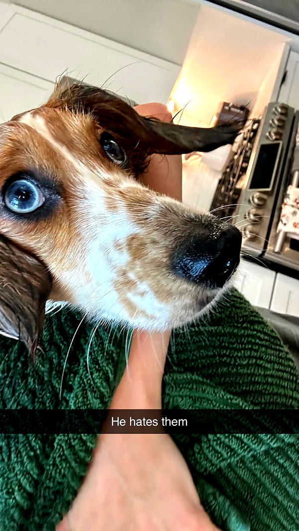 laurenj.fit image ~ Altpins