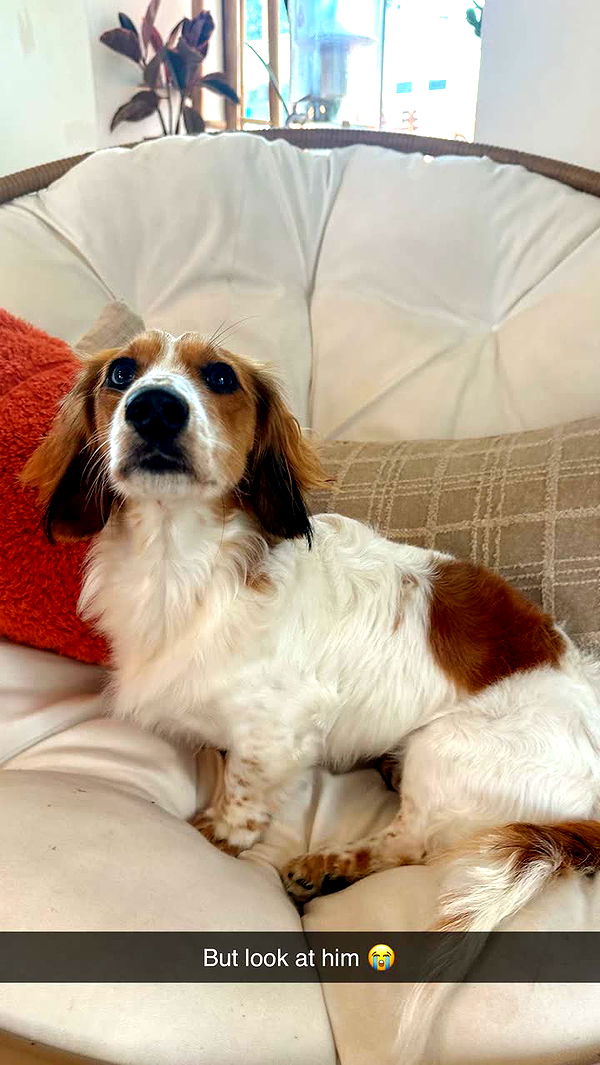 laurenj.fit image ~ Altpins