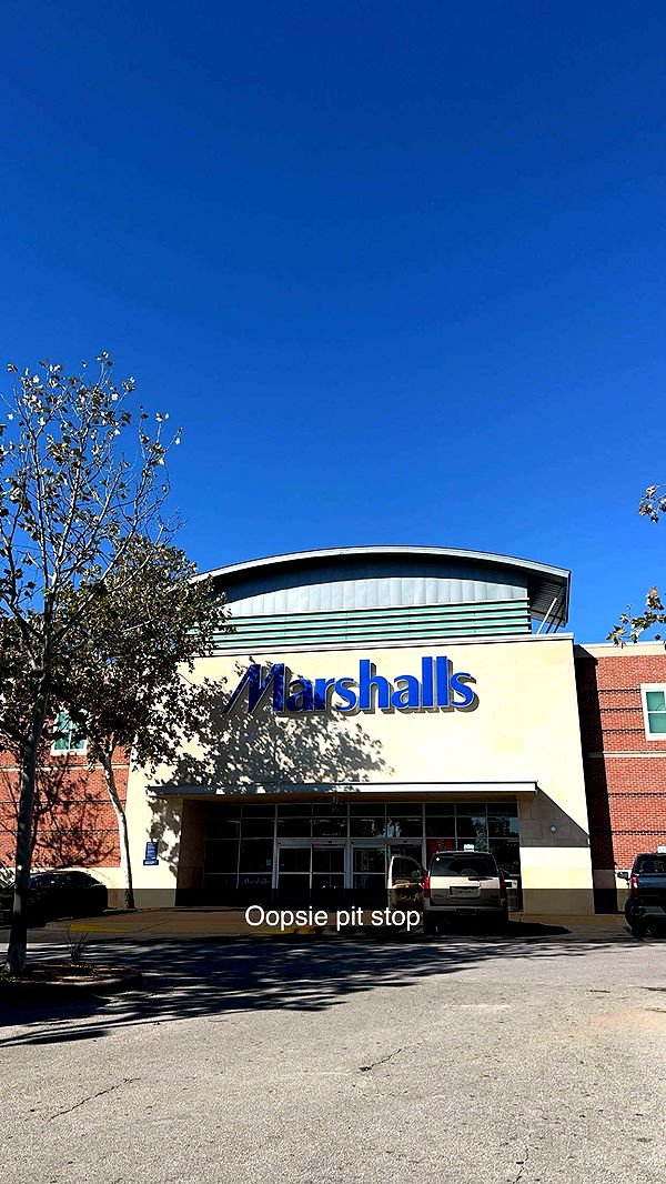 laurenj.fit image ~ Altpins