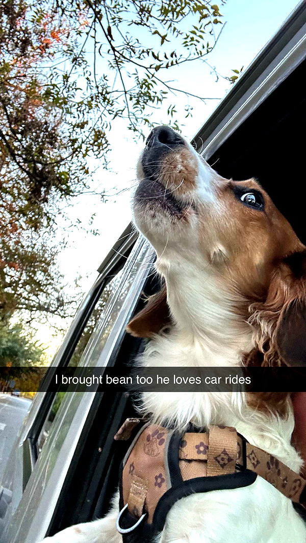 laurenj.fit image ~ Altpins