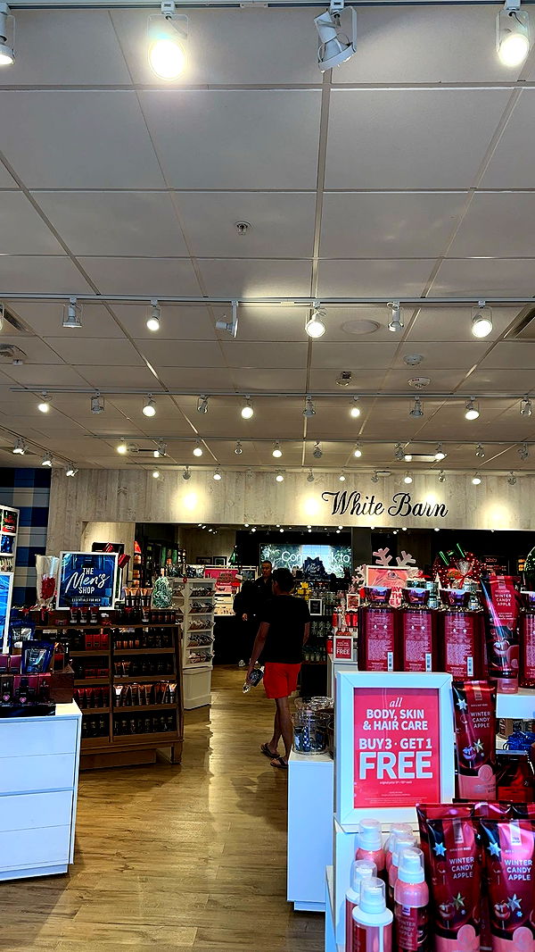 laurenj.fit image ~ Altpins