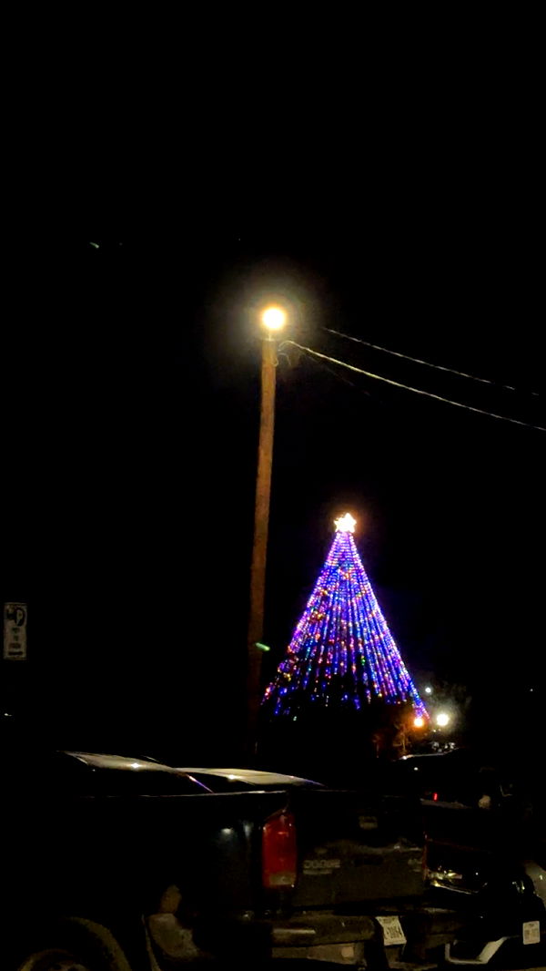 laurenj.fit image ~ Altpins