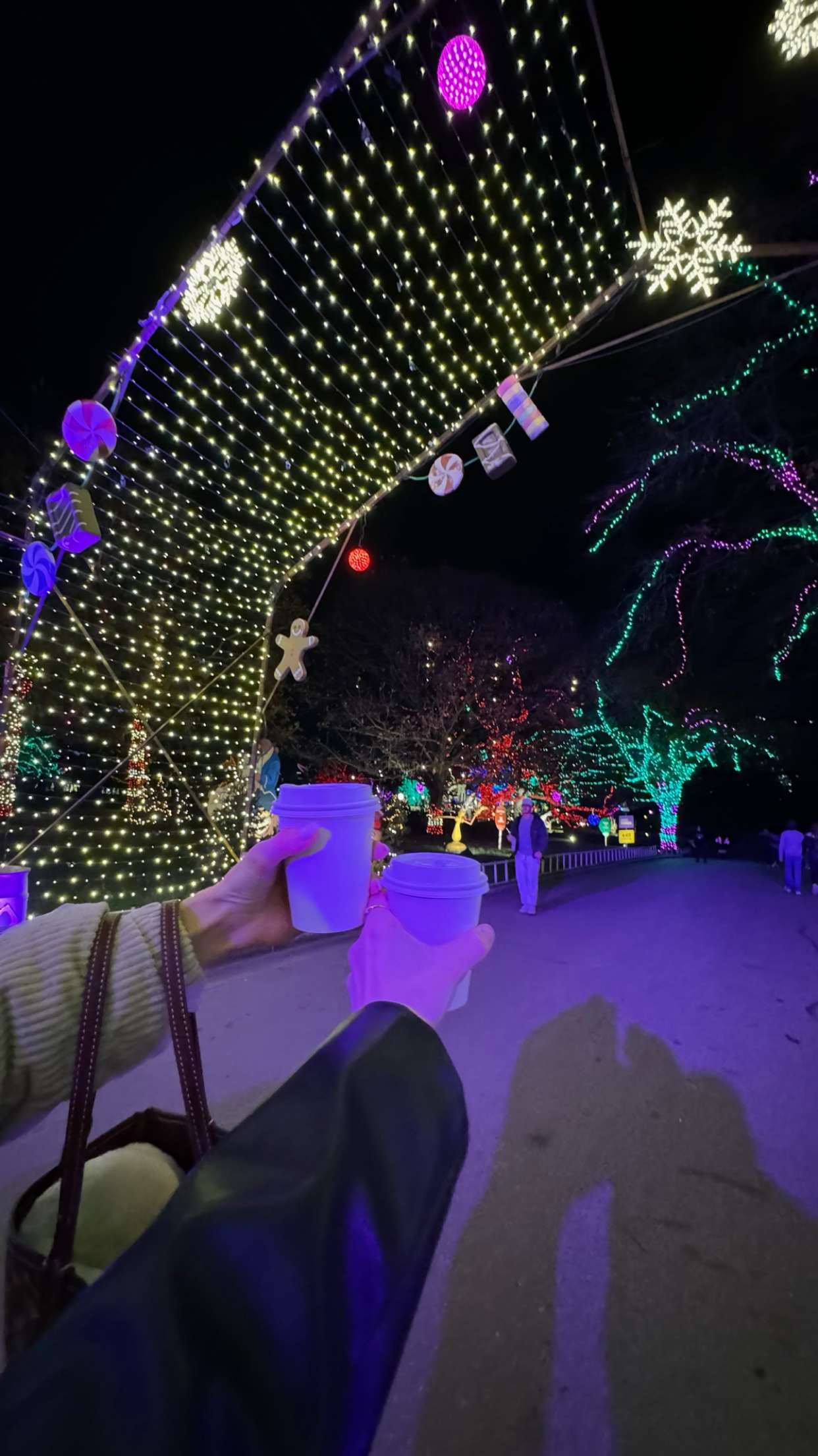 laurenj.fit snapchat image archive image