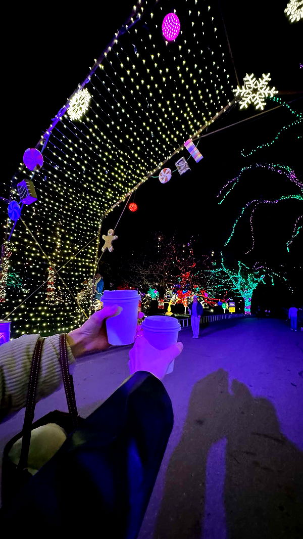 laurenj.fit image ~ Altpins