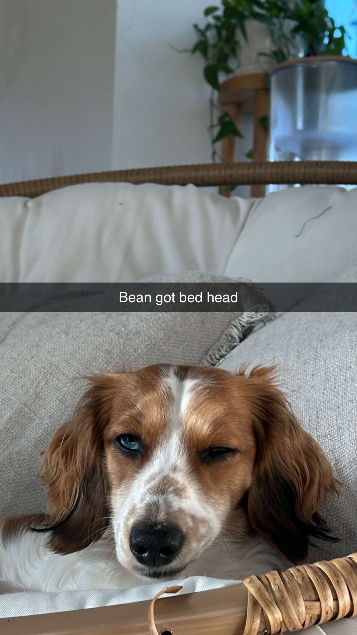 laurenj.fit snapchat image archive image