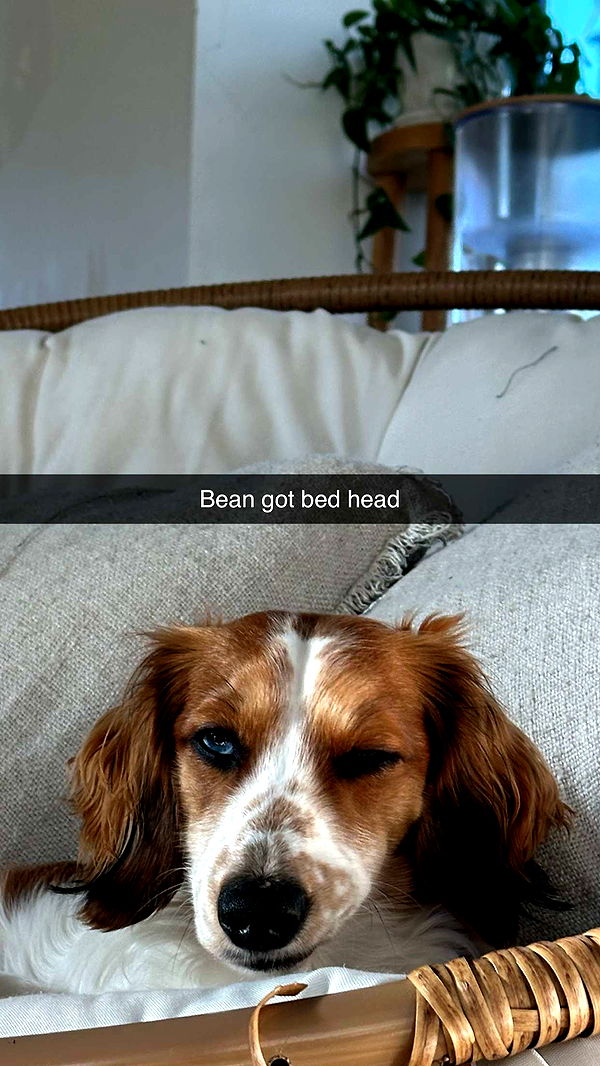 laurenj.fit image ~ Altpins