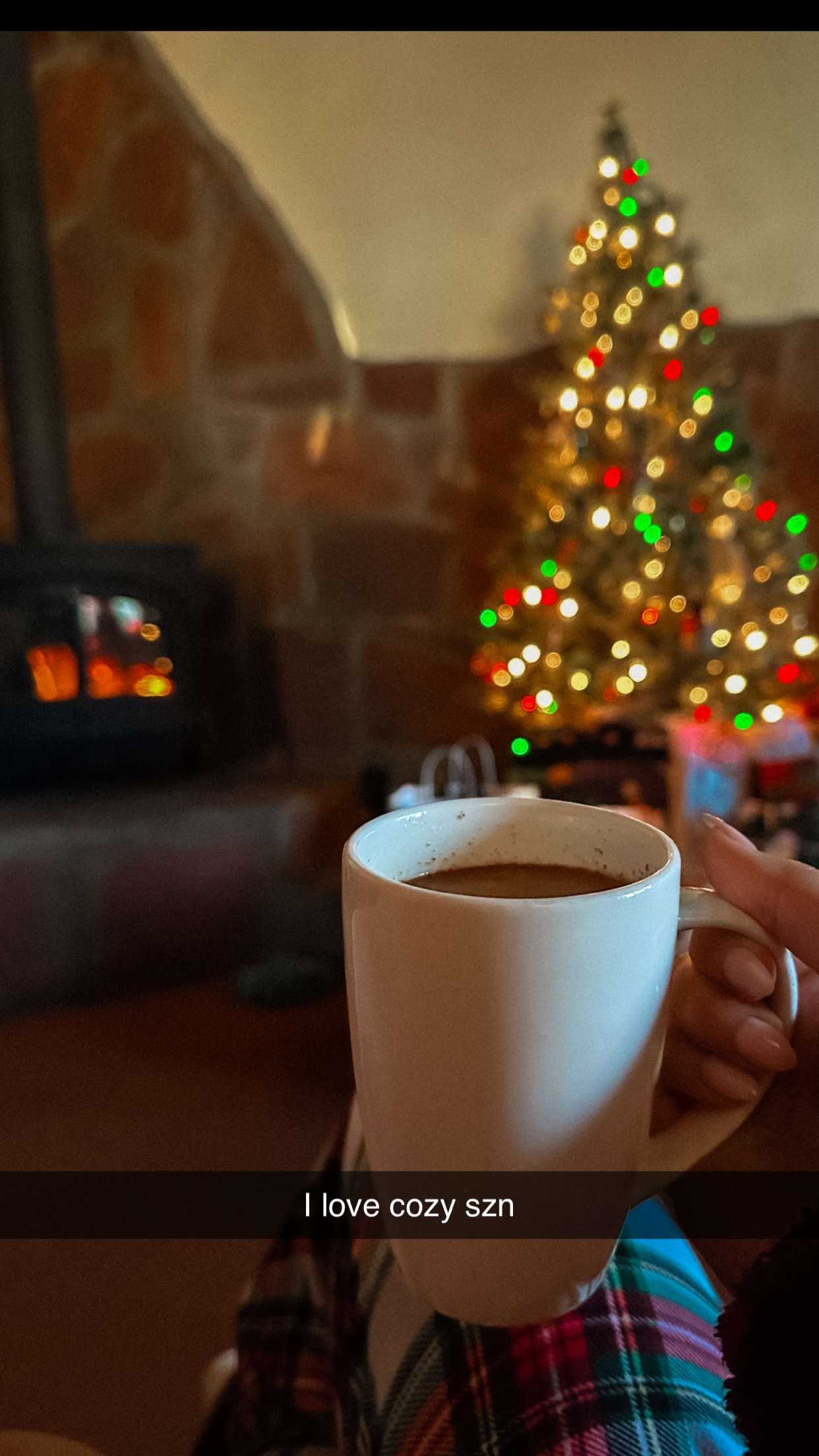 laurenj.fit snapchat image archive image