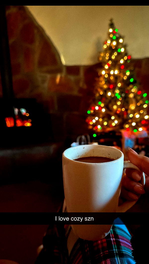 laurenj.fit image ~ Altpins