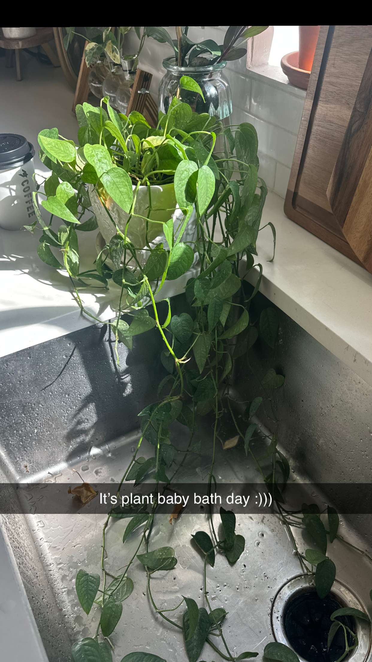 laurenj.fit snapchat image archive image