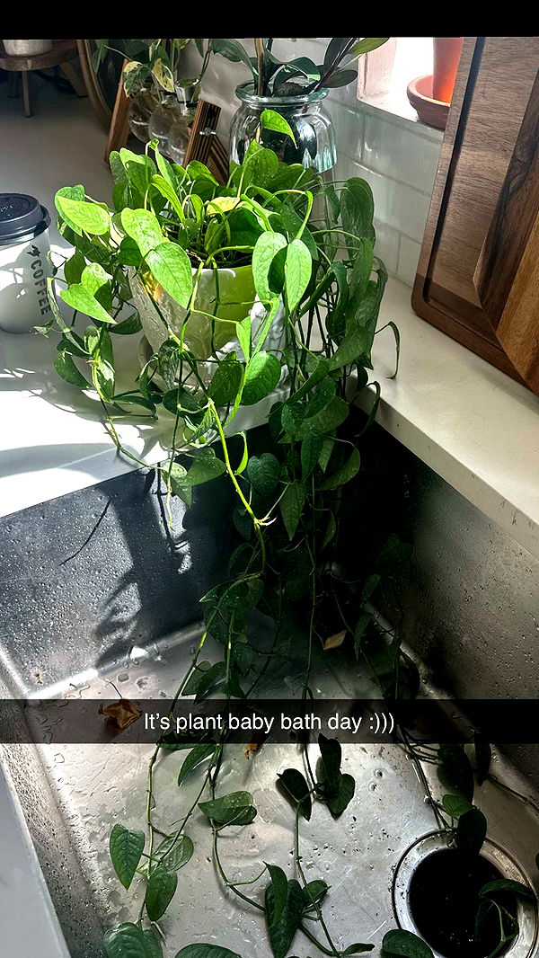 laurenj.fit image ~ Altpins