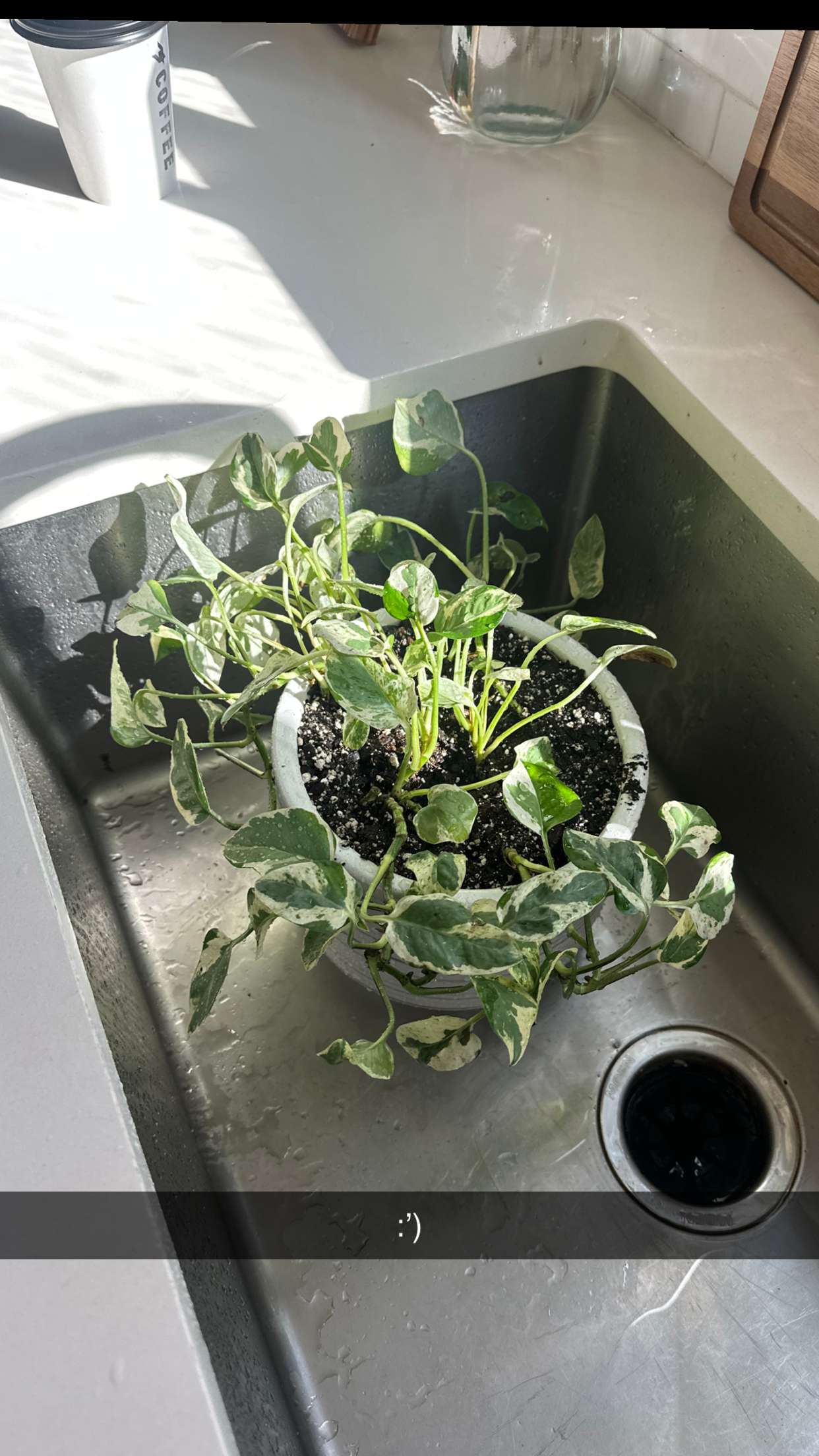 laurenj.fit snapchat image archive image