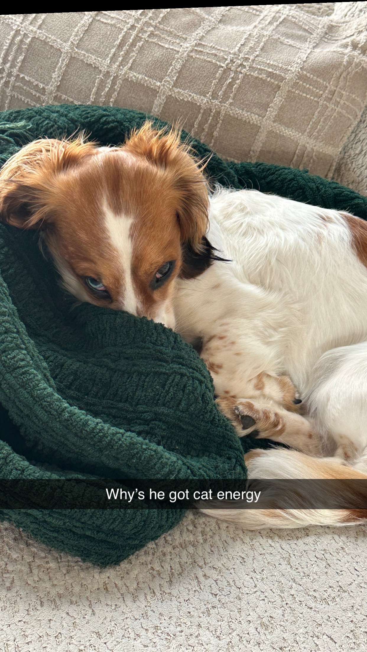 laurenj.fit snapchat image archive image