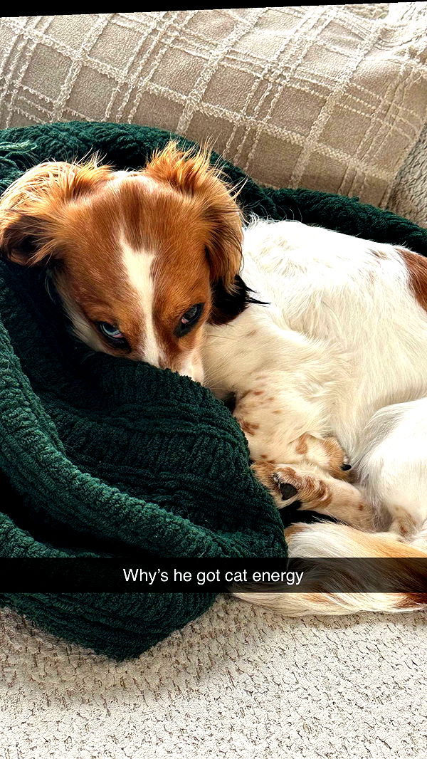 laurenj.fit image ~ Altpins