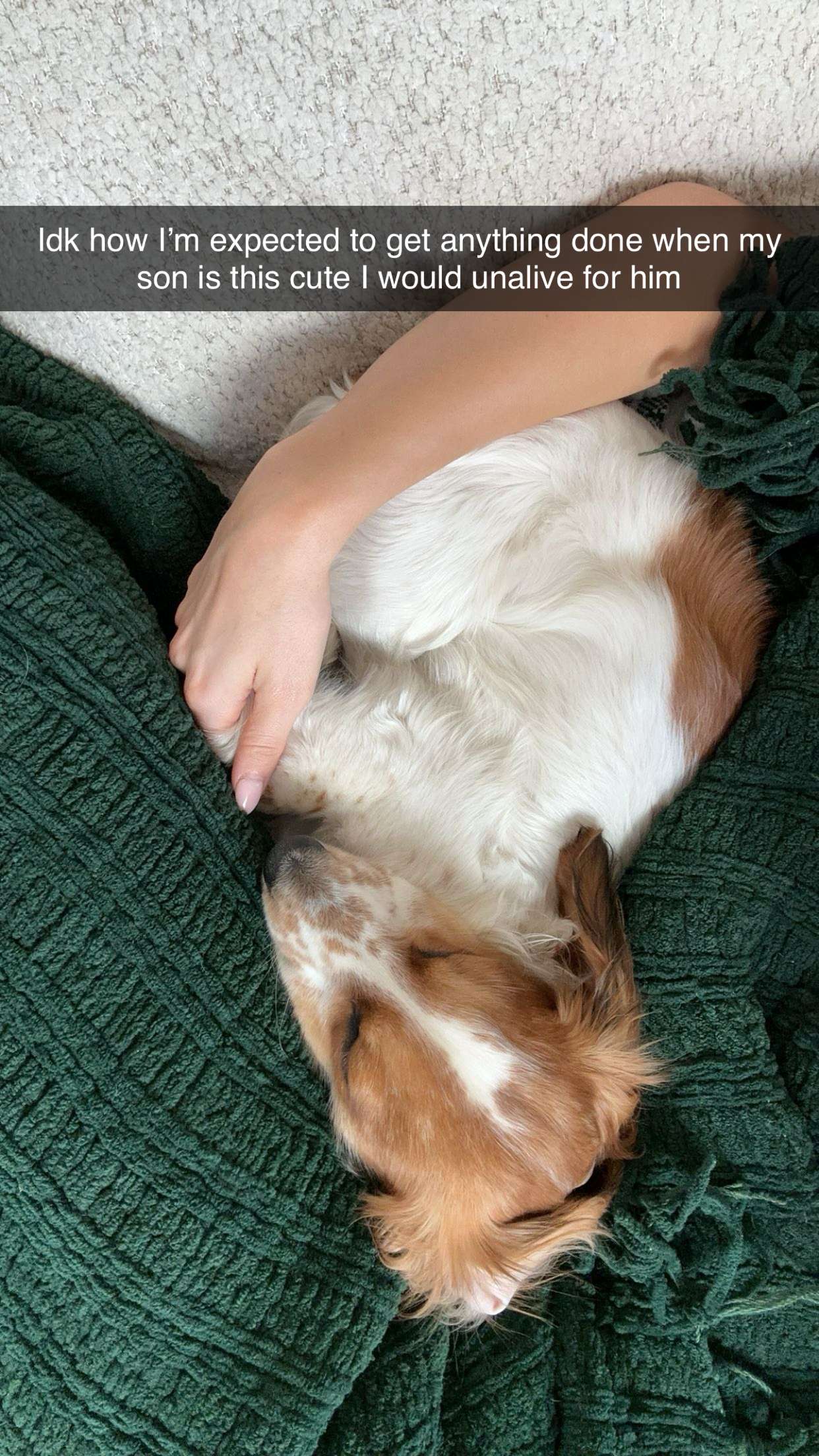 laurenj.fit snapchat image archive image