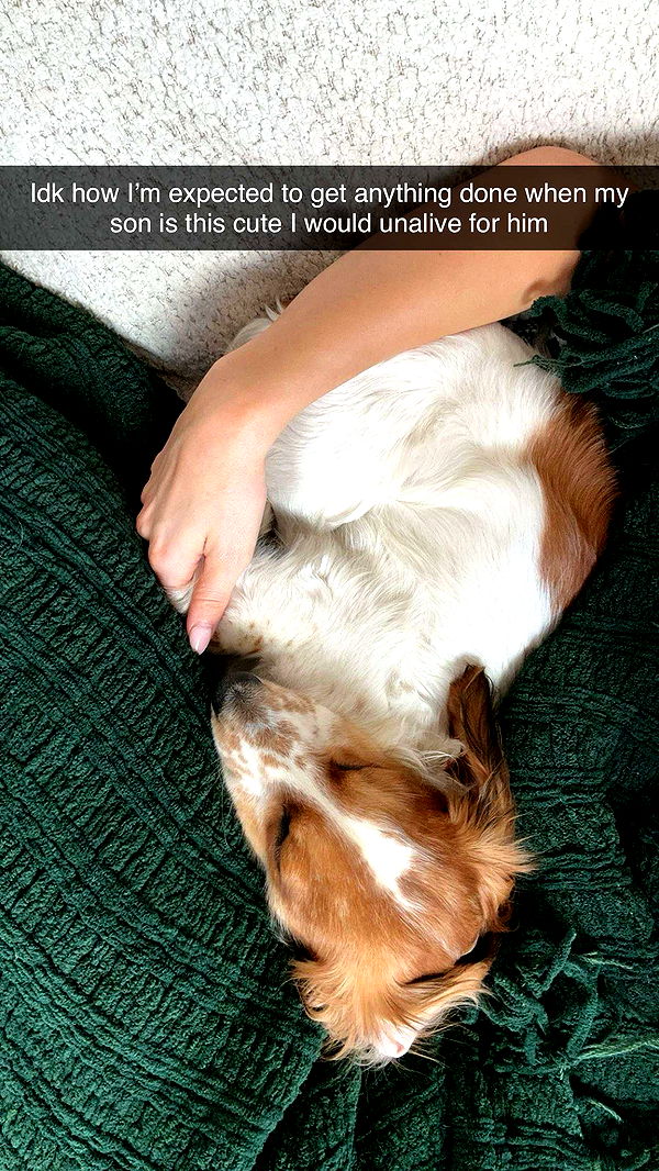 laurenj.fit image ~ Altpins