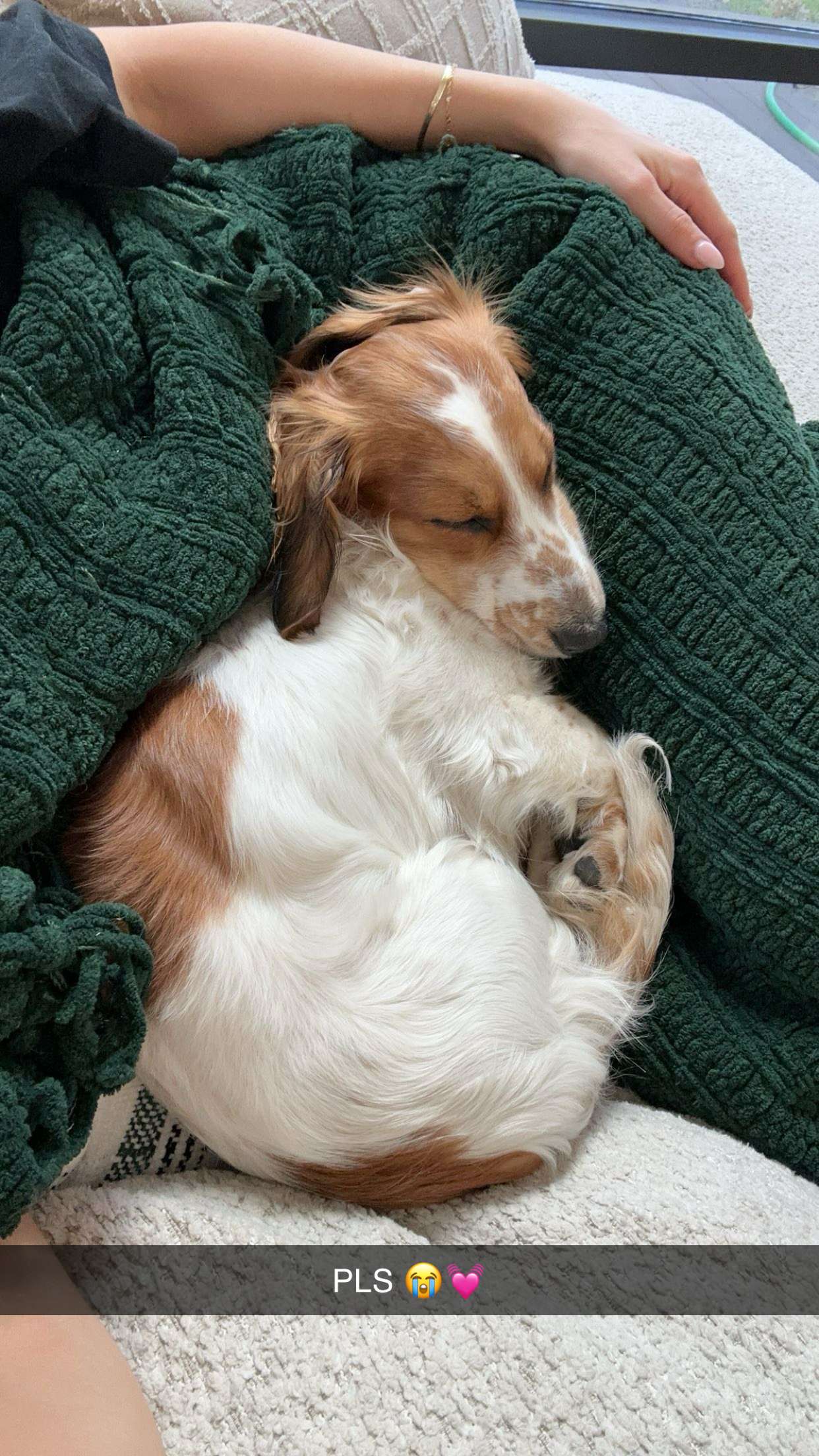 laurenj.fit snapchat image archive image