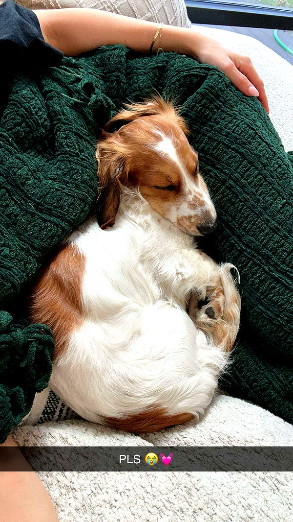 laurenj.fit image ~ Altpins