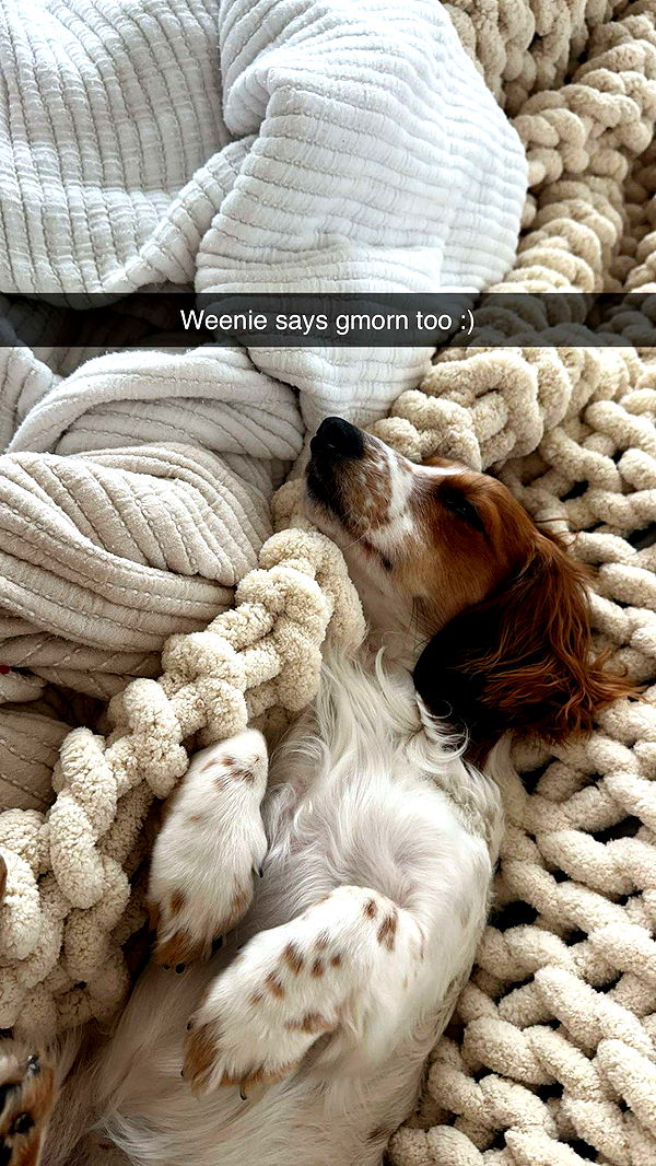 laurenj.fit image ~ Altpins